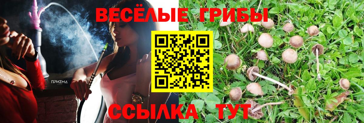 Галлюциногенные грибы мухоморы  Вход с VPN  Галлюциногенные грибы Psilocybe  Скопин 